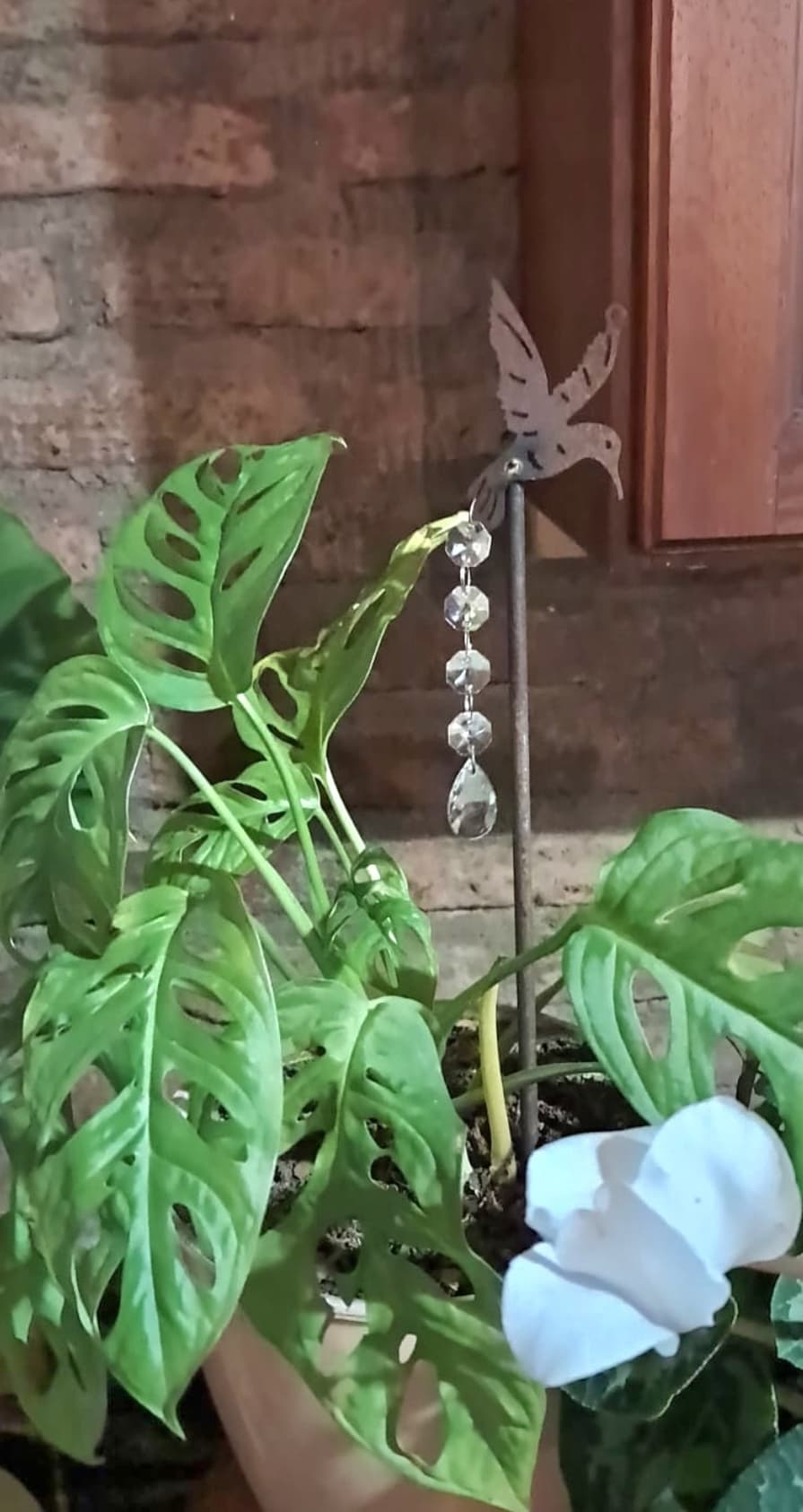 Tutores para plantas chicos