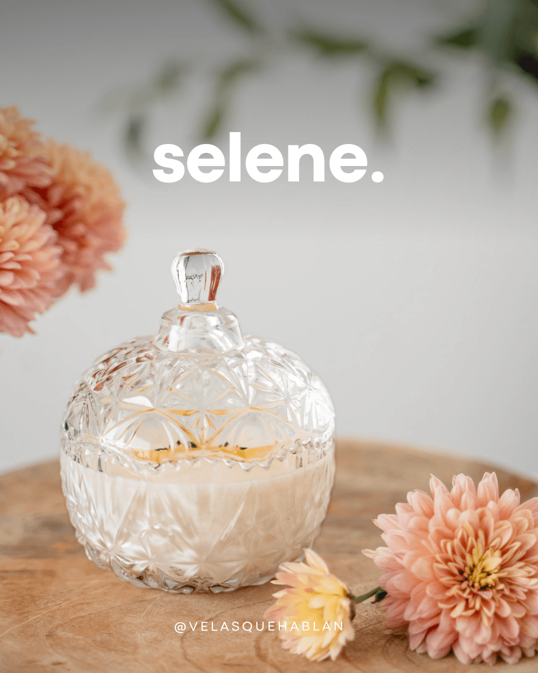 Vela de soja Modelo Selene