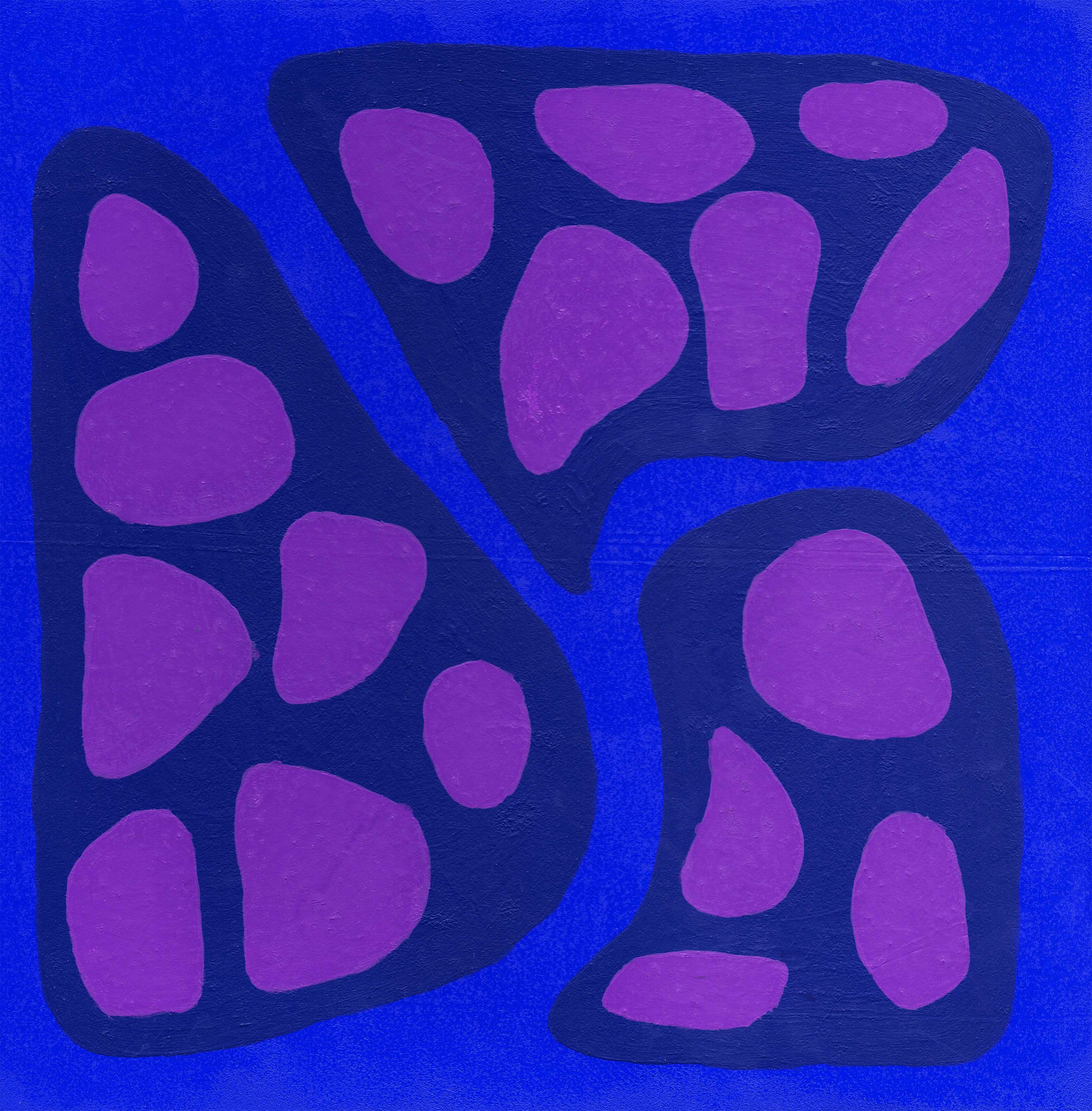 Pozo sagrado de Sabiduria 2