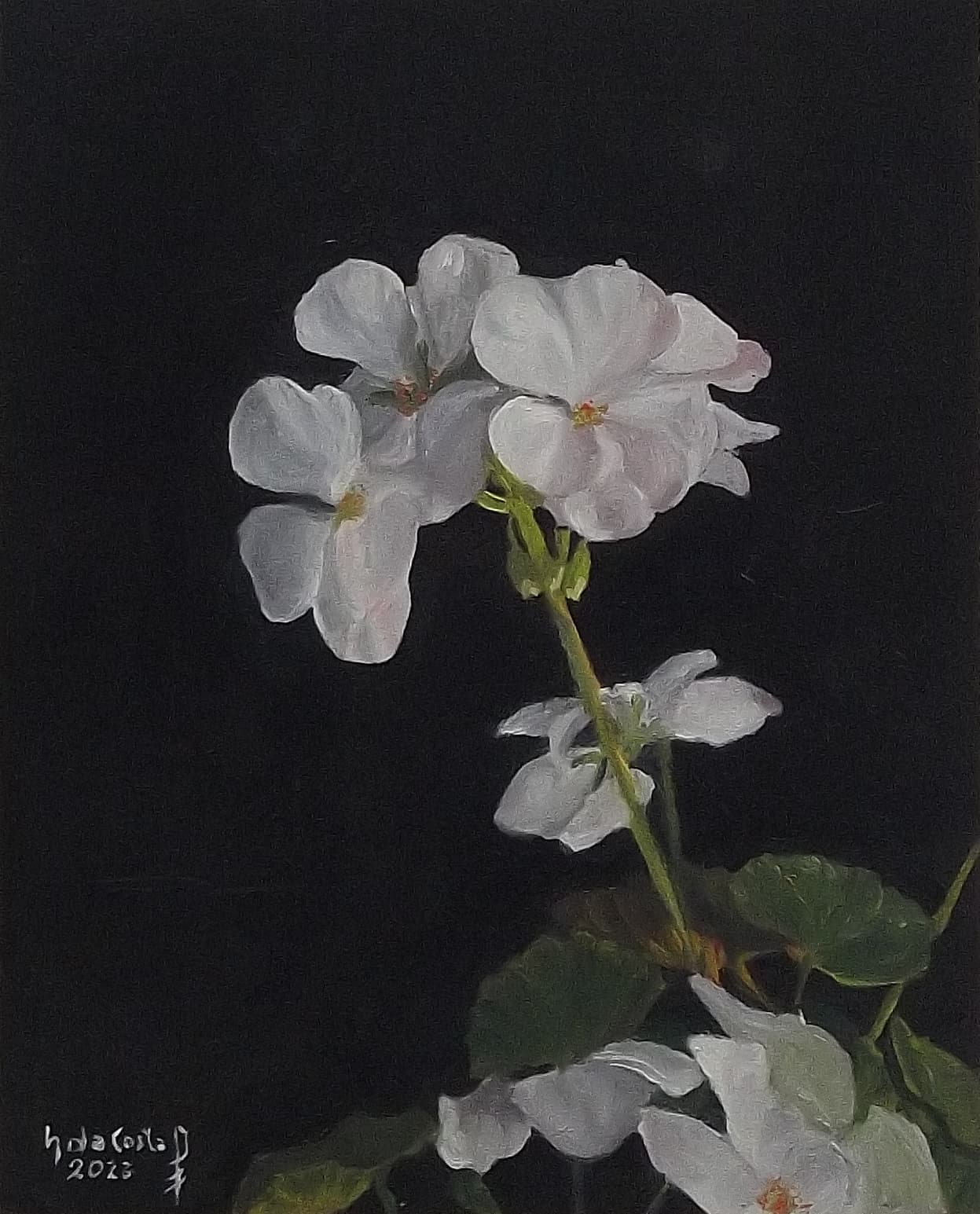 Bodegón con geranio