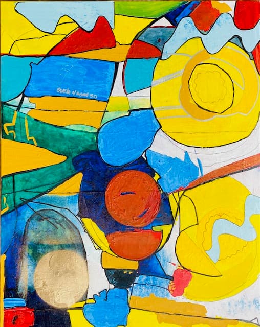 Mi Villa desde un Dron 2