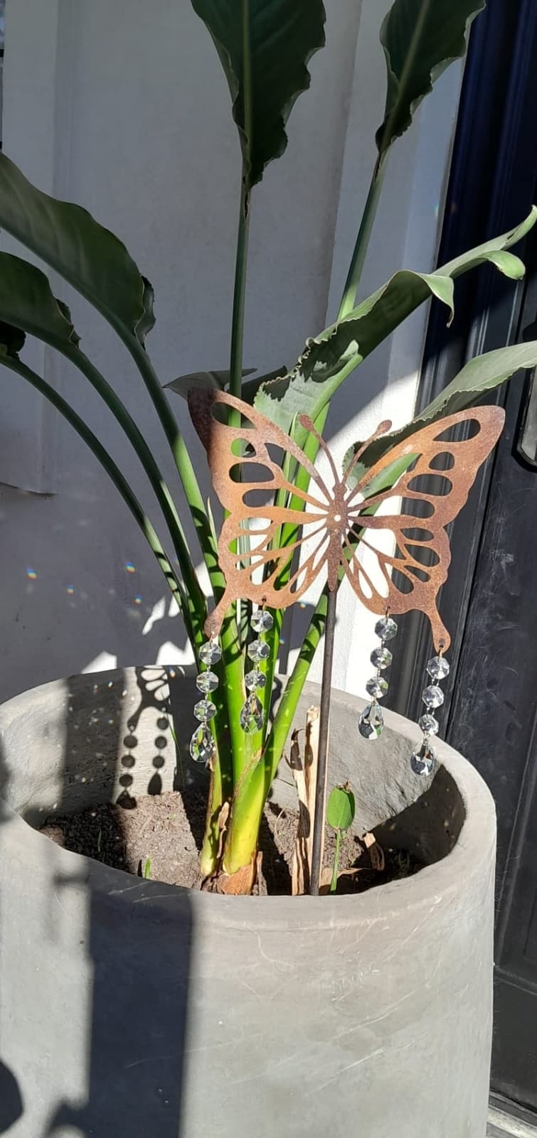 Tutores para plantas grandes