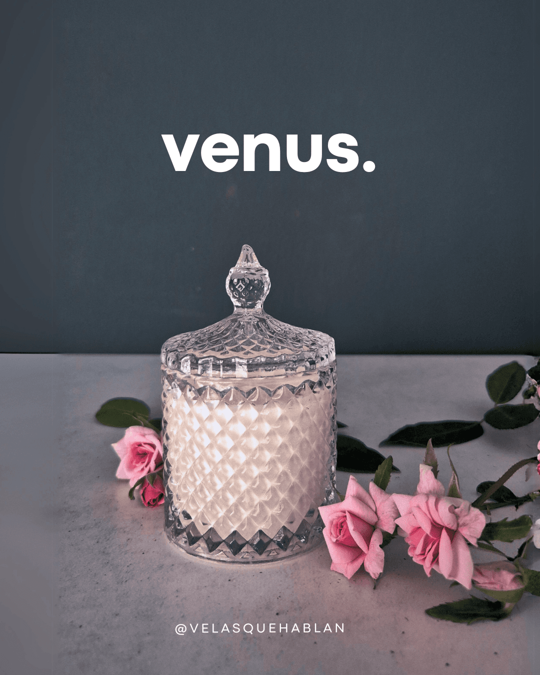 Vela de soja Modelo Venus