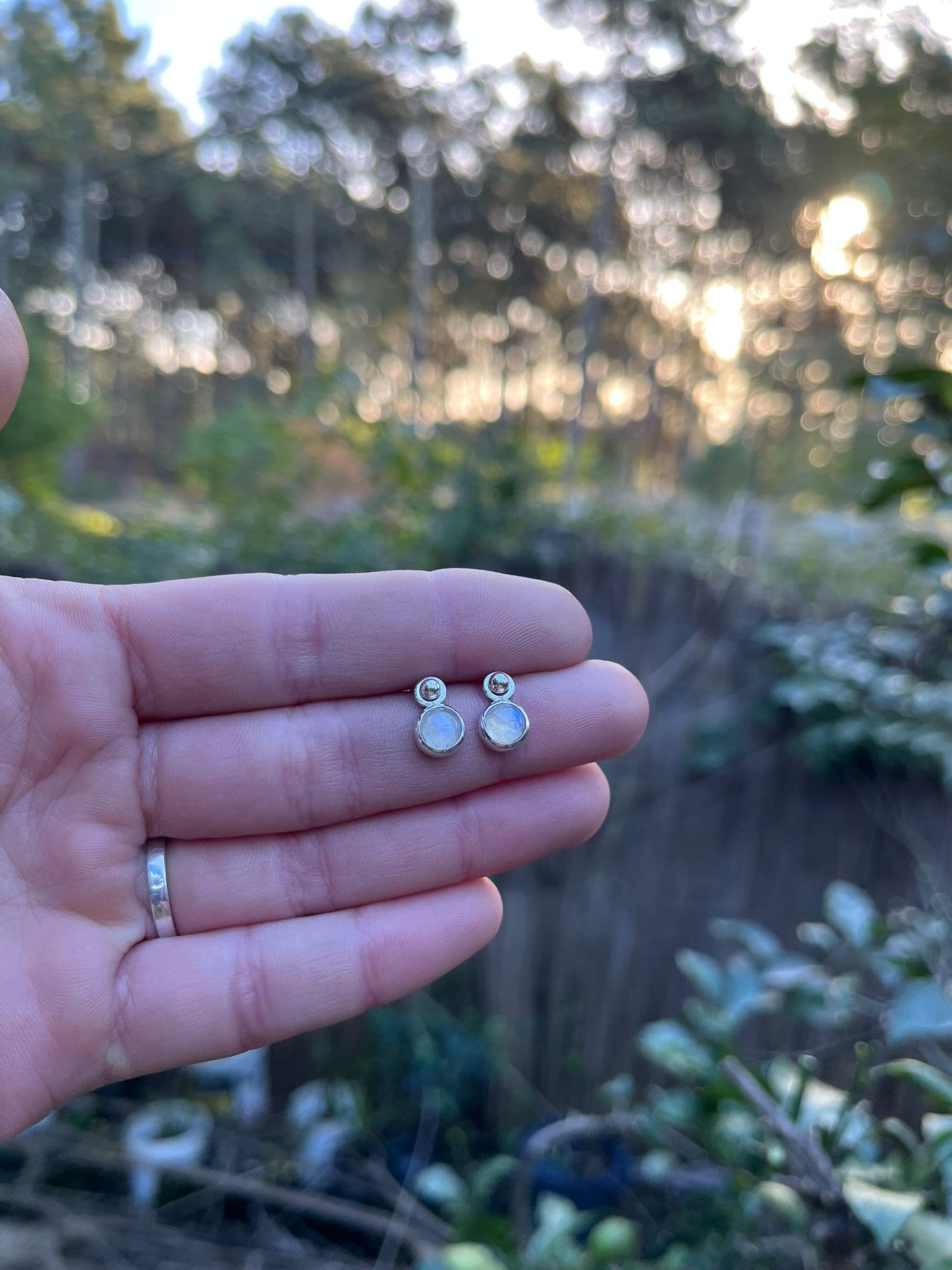 Caravanas Luna: Viajes de Ensueño