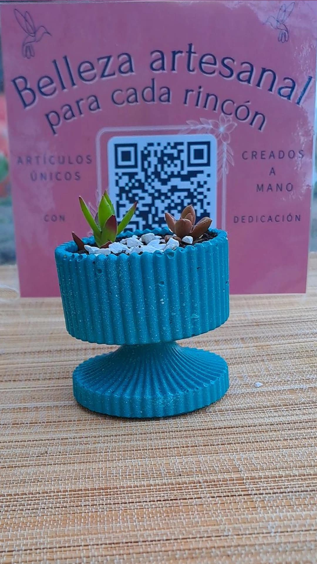 Masetas con suculentas