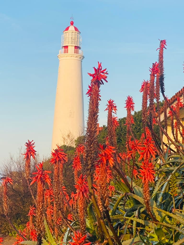 Faro Cabo Santa María .