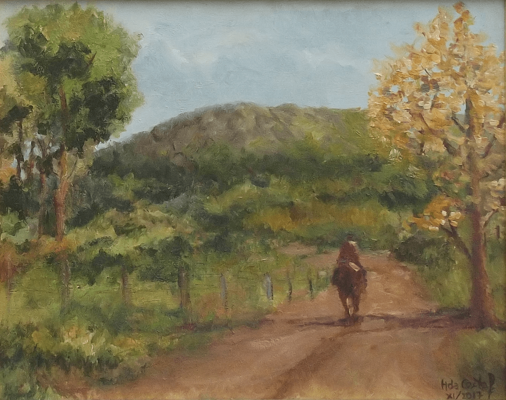 Paisaje de Playa Hermosa, rumbo al cerro.