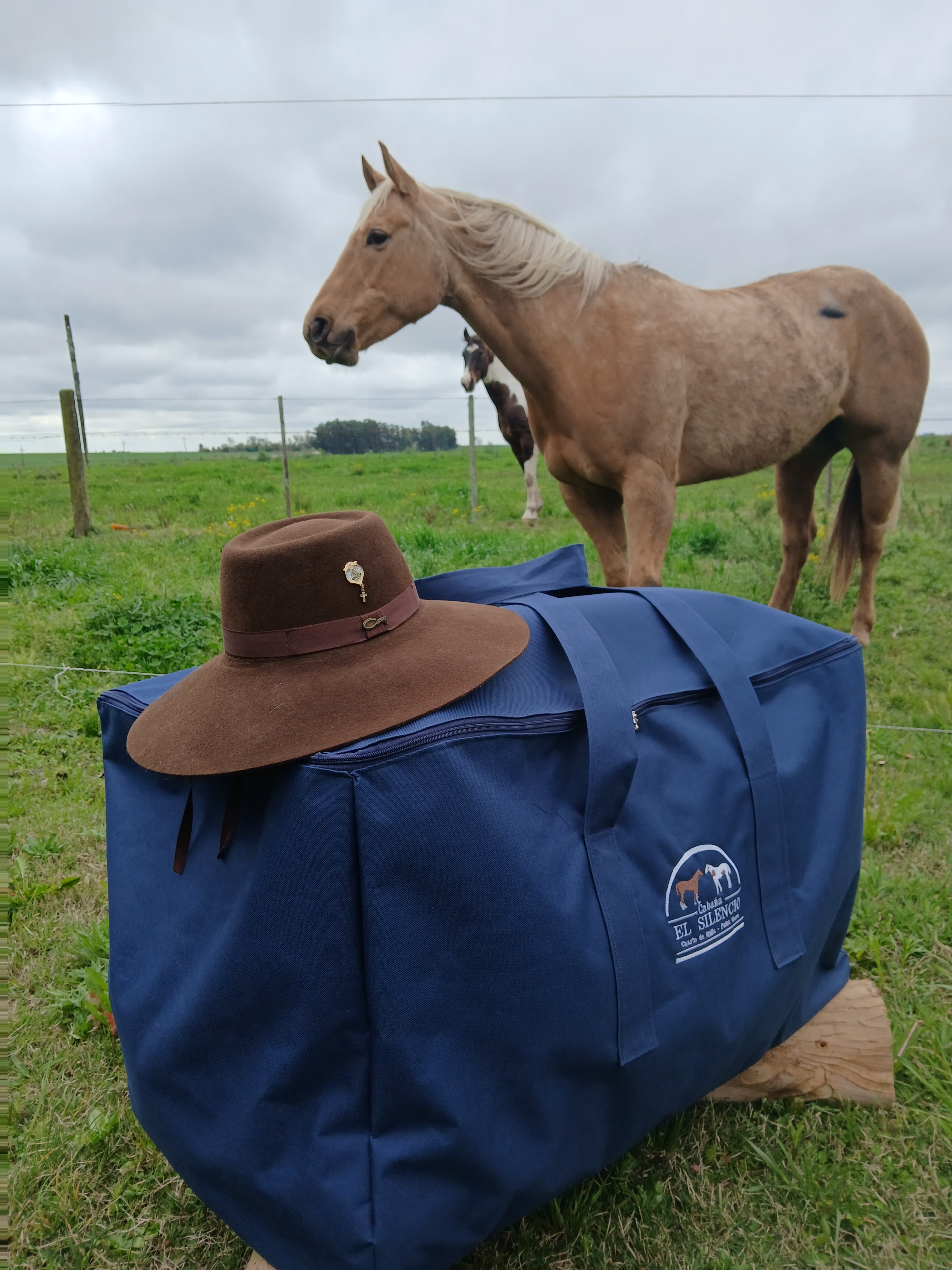 Bolso para recado bordado