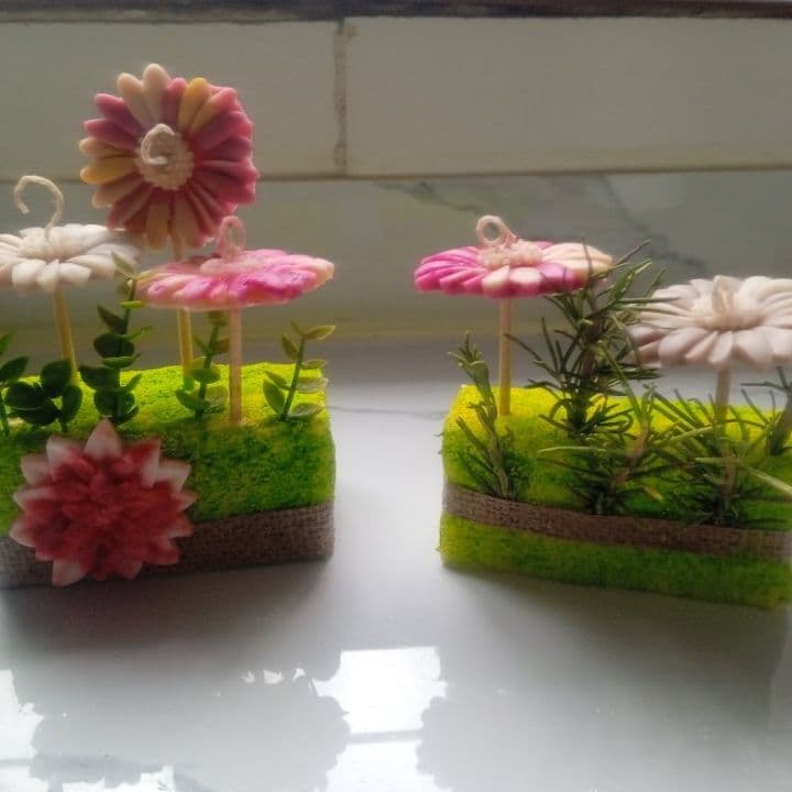 Jardín de velas, waxs meets,