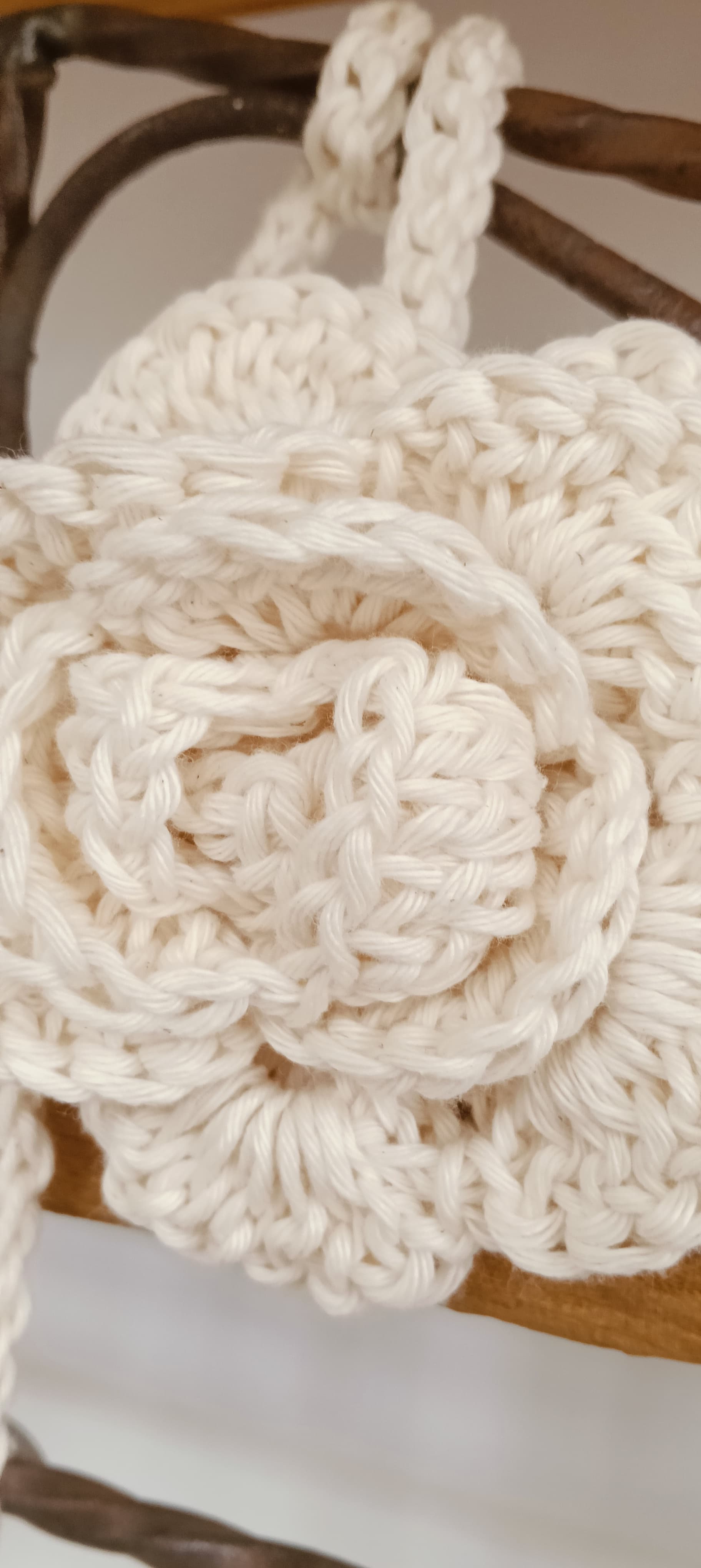 Una flor para mi Ventana