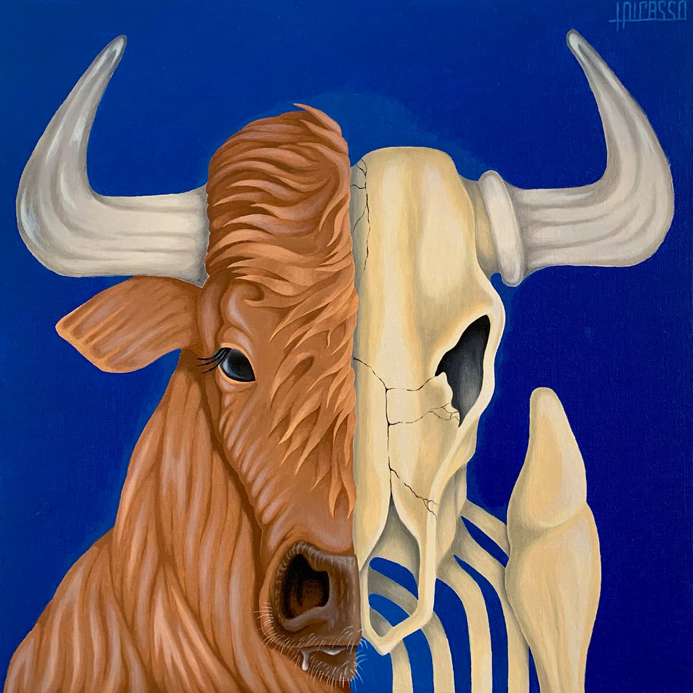 Toro