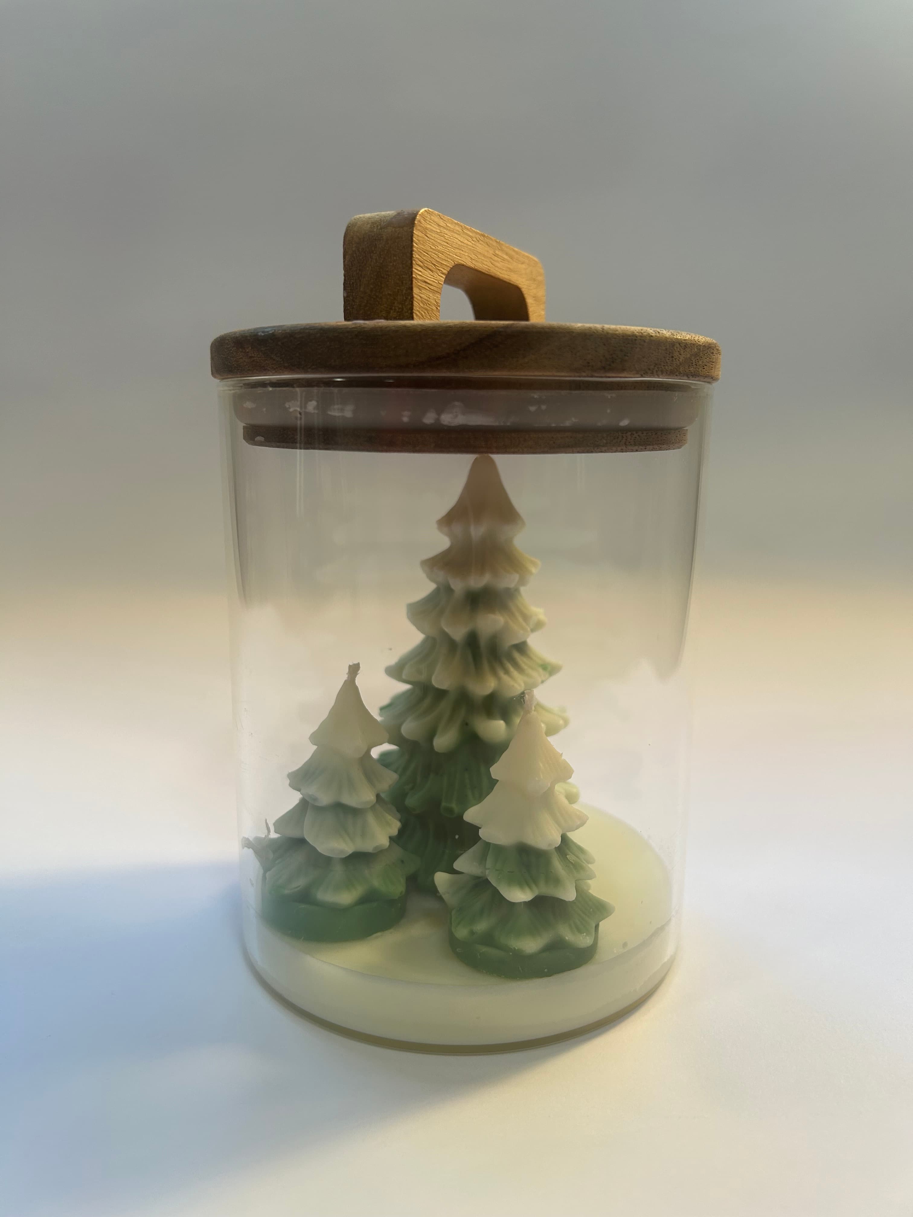 Magia Navideña en el Bosque