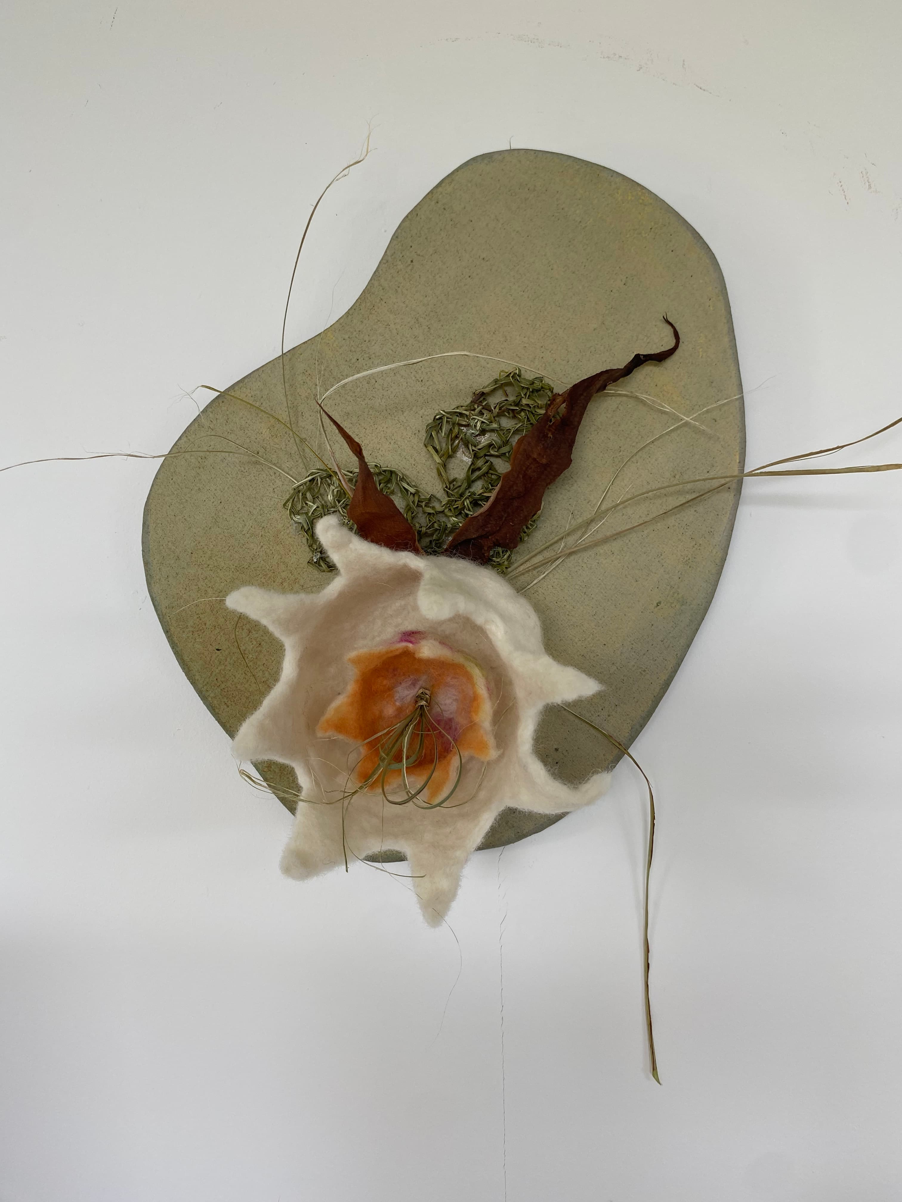 “Clara” - serie “P”, número 2