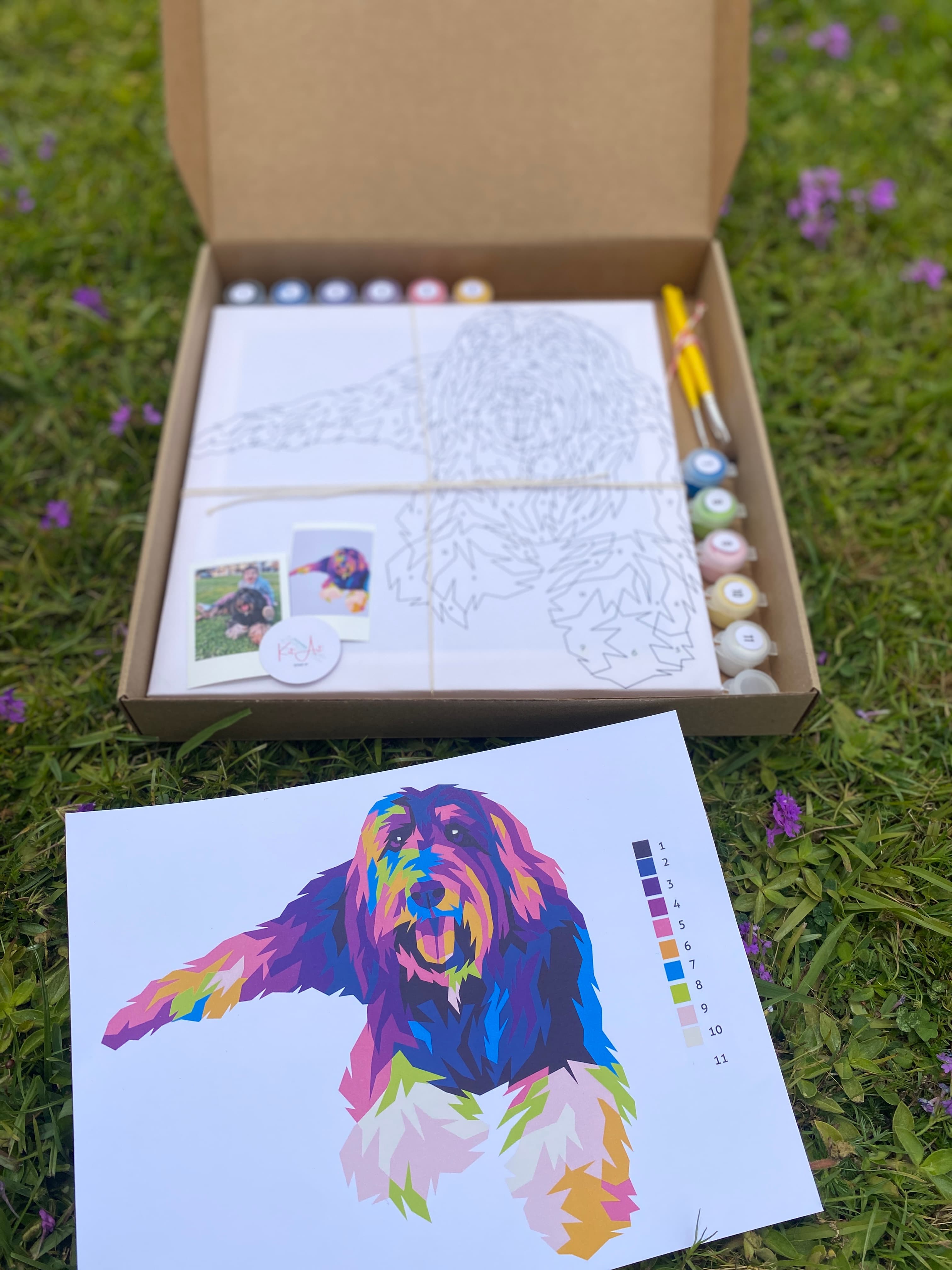 Kit pintar por números 🎨