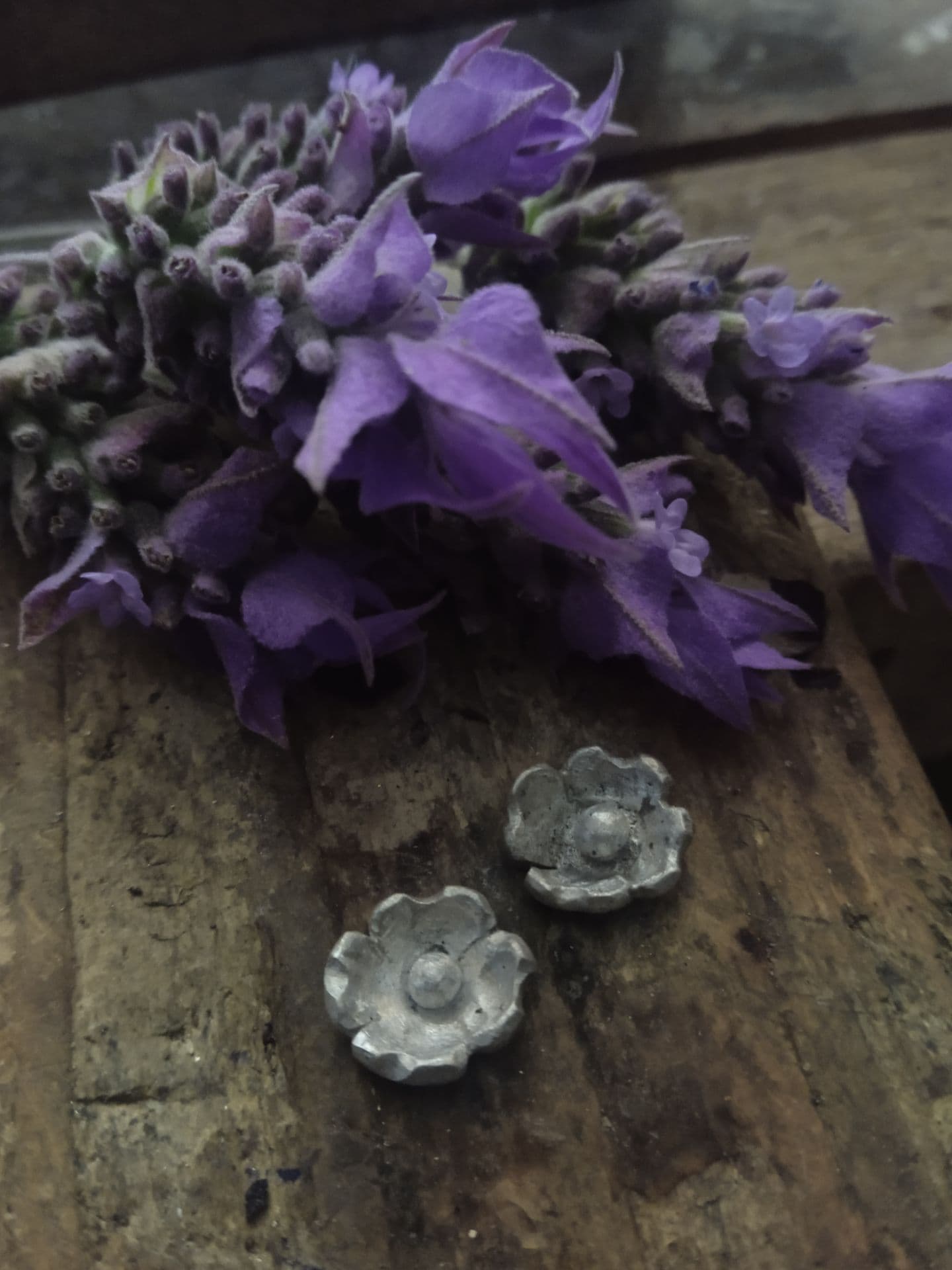 Pendientes en Plata 925