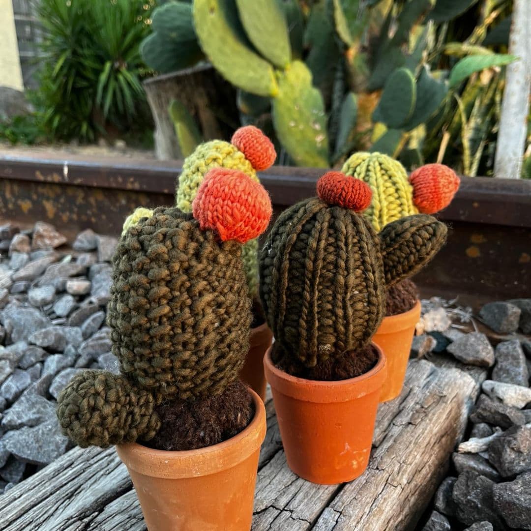 Cactus tejido