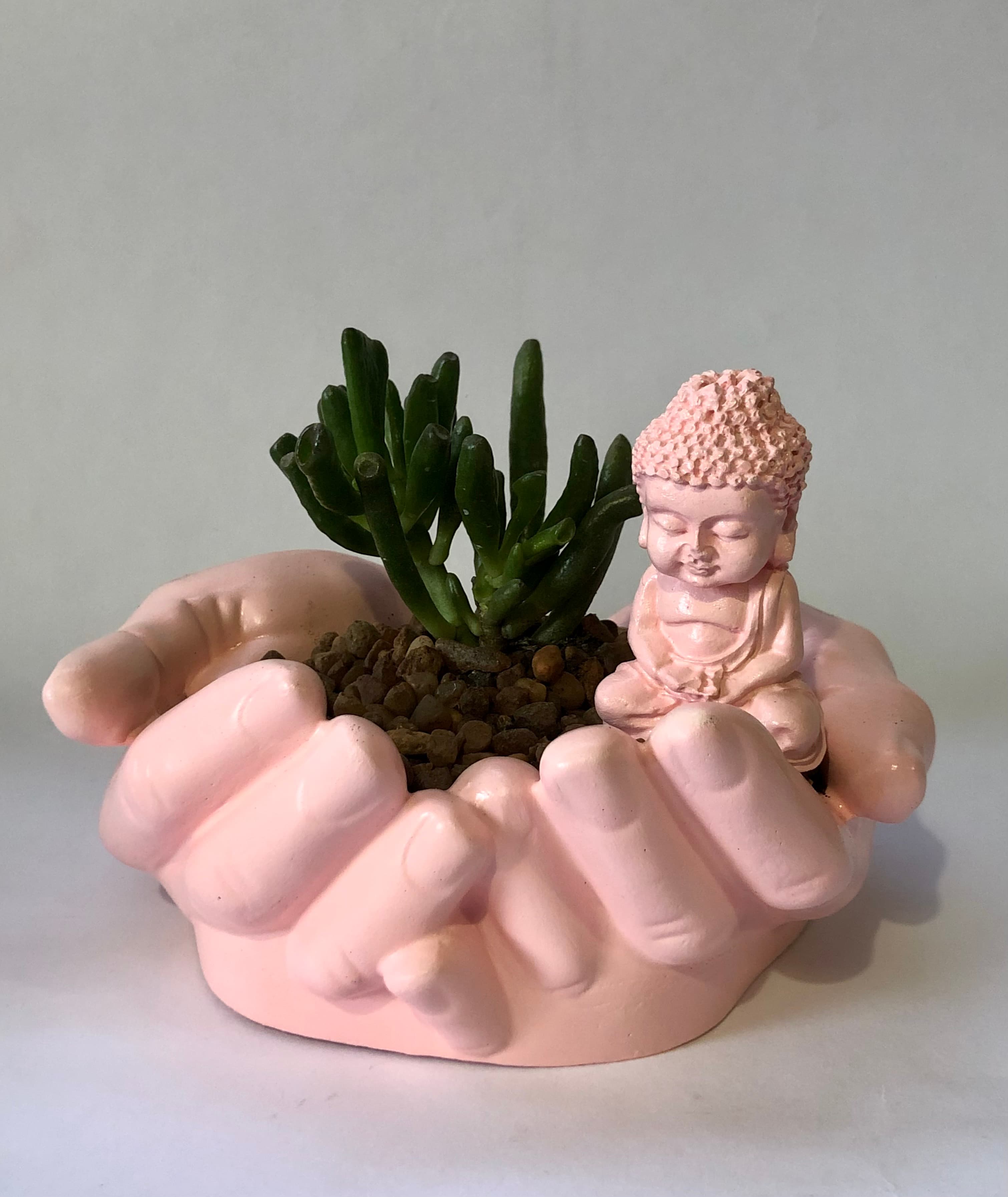 Mano de la Abundancia con Suculenta