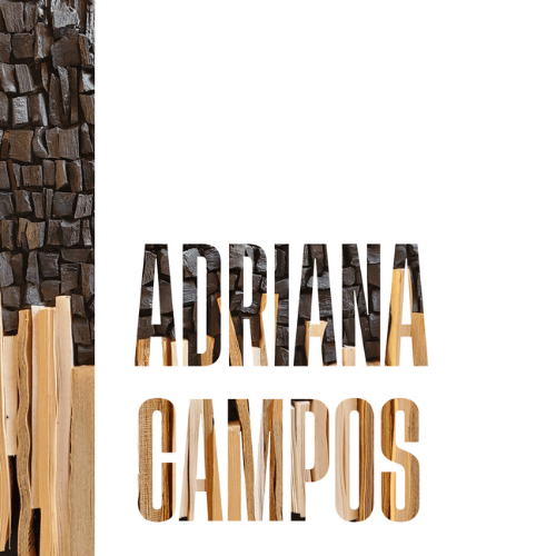 Adriana Campos logo