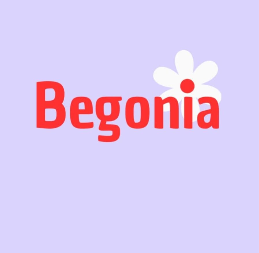 Begonia