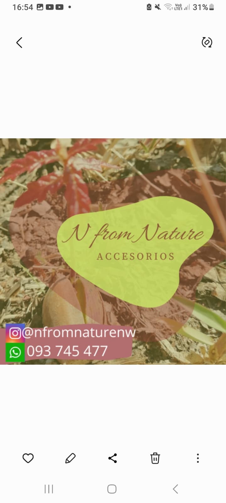 N from Nature accesorios logo
